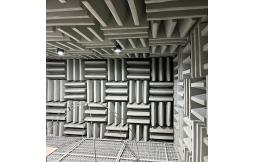 Exploring the Acoustic Anechoic Chamber
