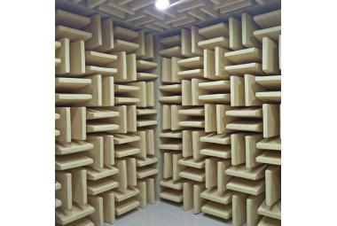 semi-anechoic chamber