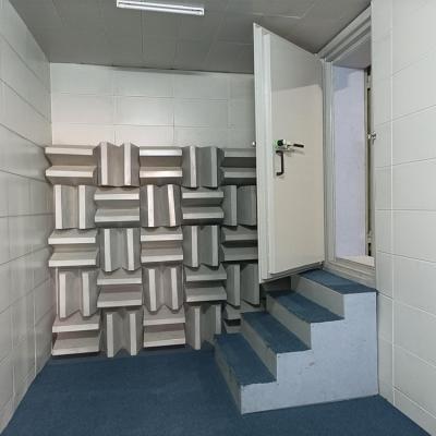 anechoic room