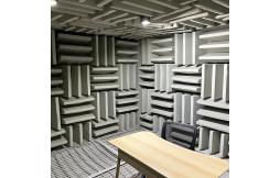 What is anechoic chamber used for?