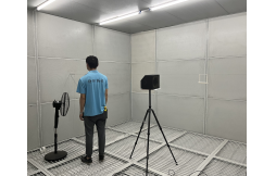 Can you hallucinate in an anechoic chamber?