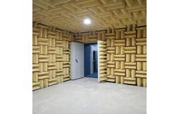 The price of building an anechoic chamber
