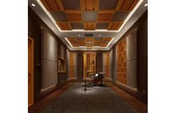 Audio-visual room and anechoic room