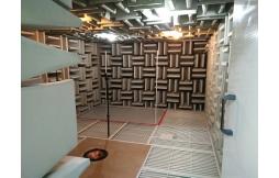 What are the requirements for the pedestrian network in the anechoic room?