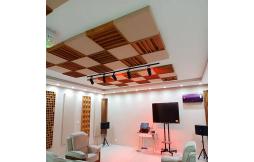 What experiments can be carried out in anechoic chambers and reverberation chambers